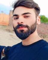 DINU_12