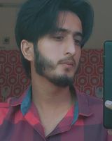 Anas12908