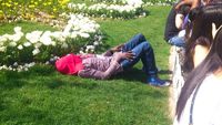 Relaxing near some great tulip, Istanbul, Turkey