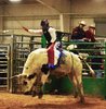 'Luck Of The Draw Bull Riding' Event !