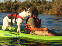 Dog and I Kayaking