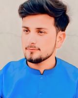 Hamzaalii