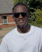 Vynes