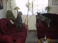 Both of my little guys.