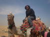 The camel was crazy but fun