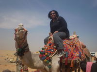 The camel was crazy but fun