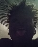 Phanessekid