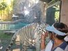 Busch Gardens, FL