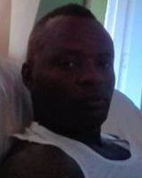 Owad